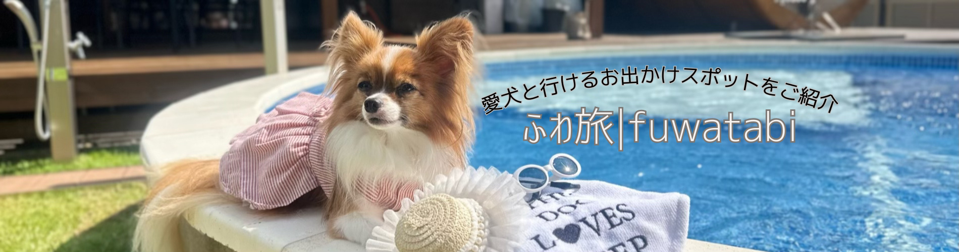ふわ旅|犬連れ旅記録