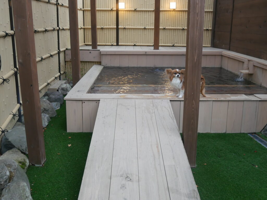 貸切で遊べる温泉プール