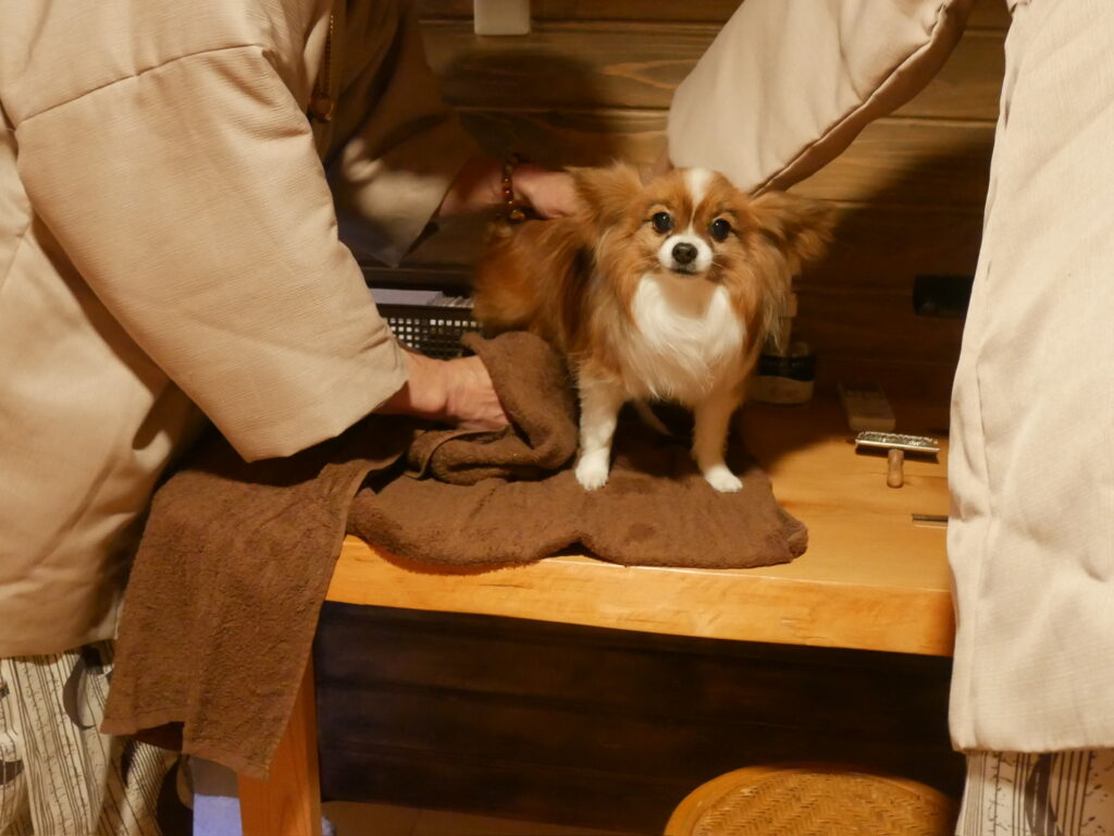 トリミングルームも完備