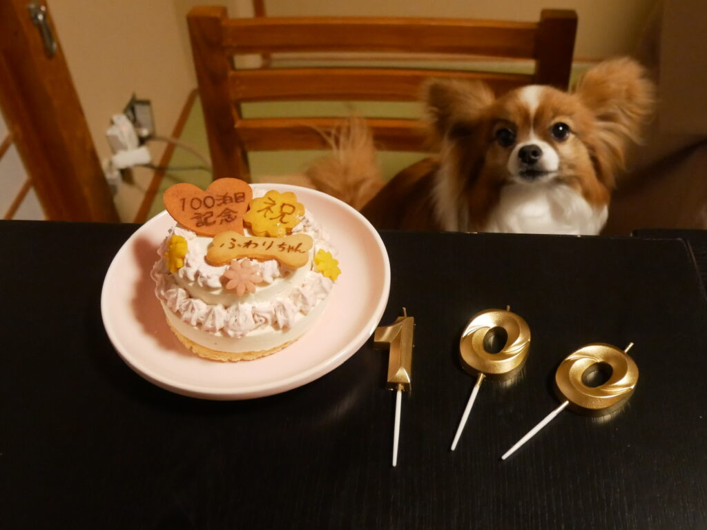 お宿からのサプライズケーキ