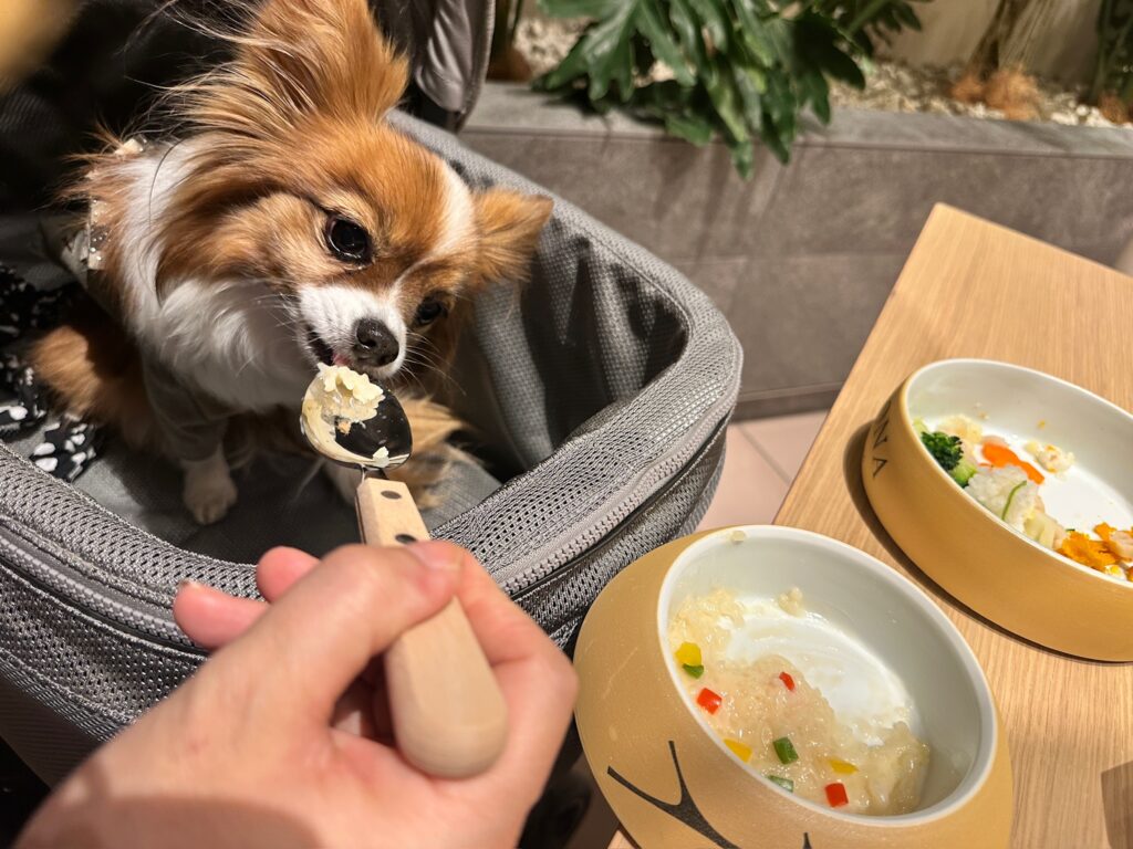 美味しそうな顔してるふわり