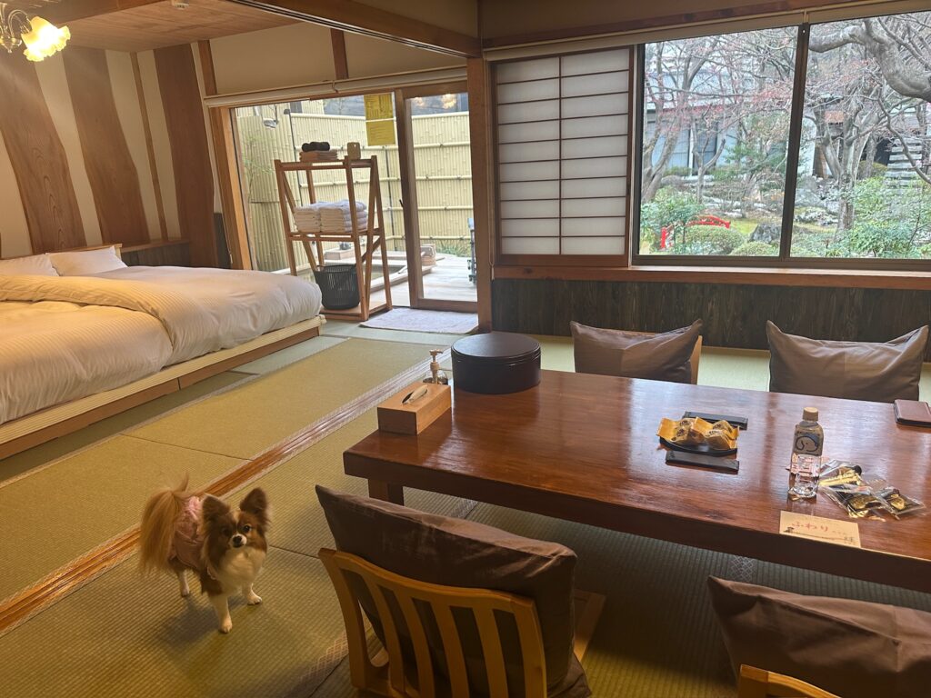 日本庭園を見渡す広い客室