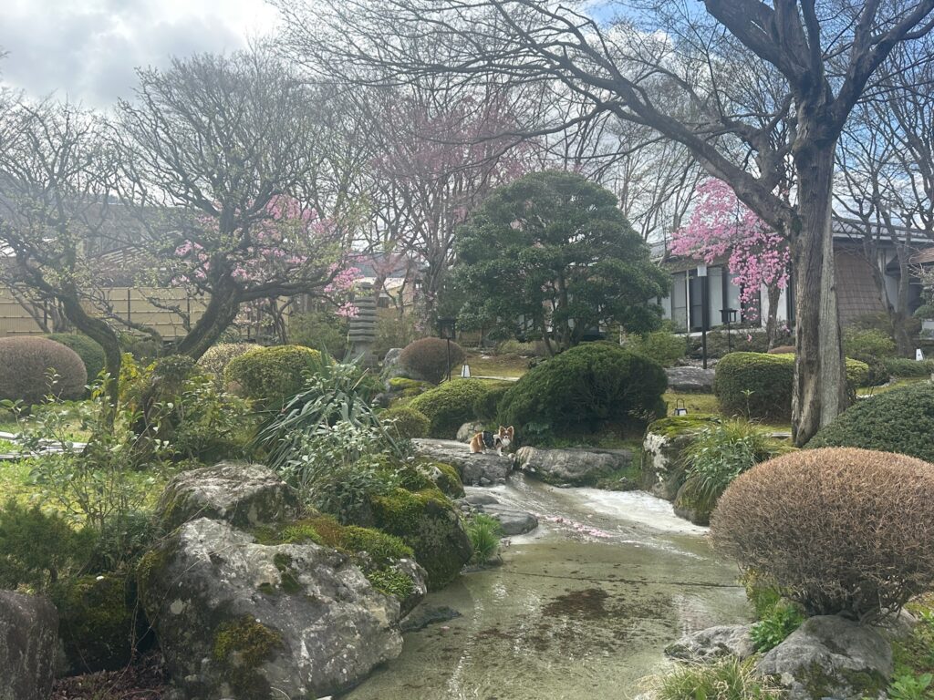 美しい日本庭園