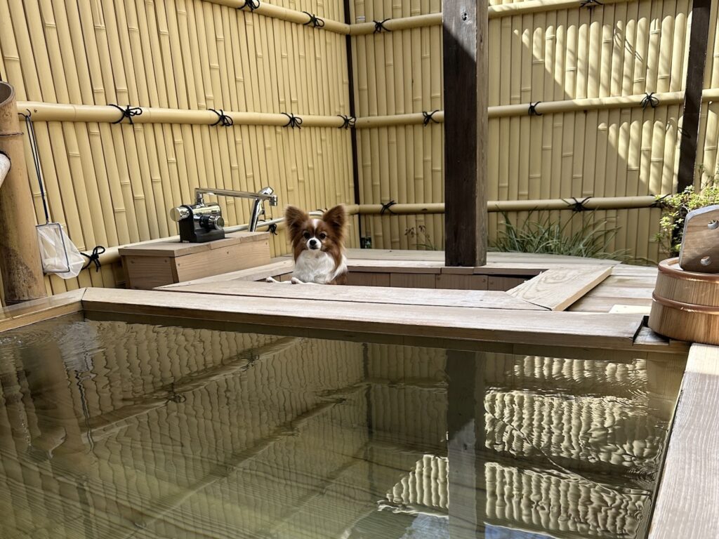 愛犬用の露天風呂も完備