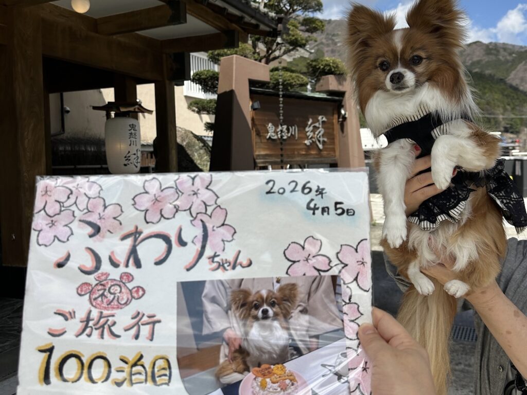 サプライズメッセージのプレゼント