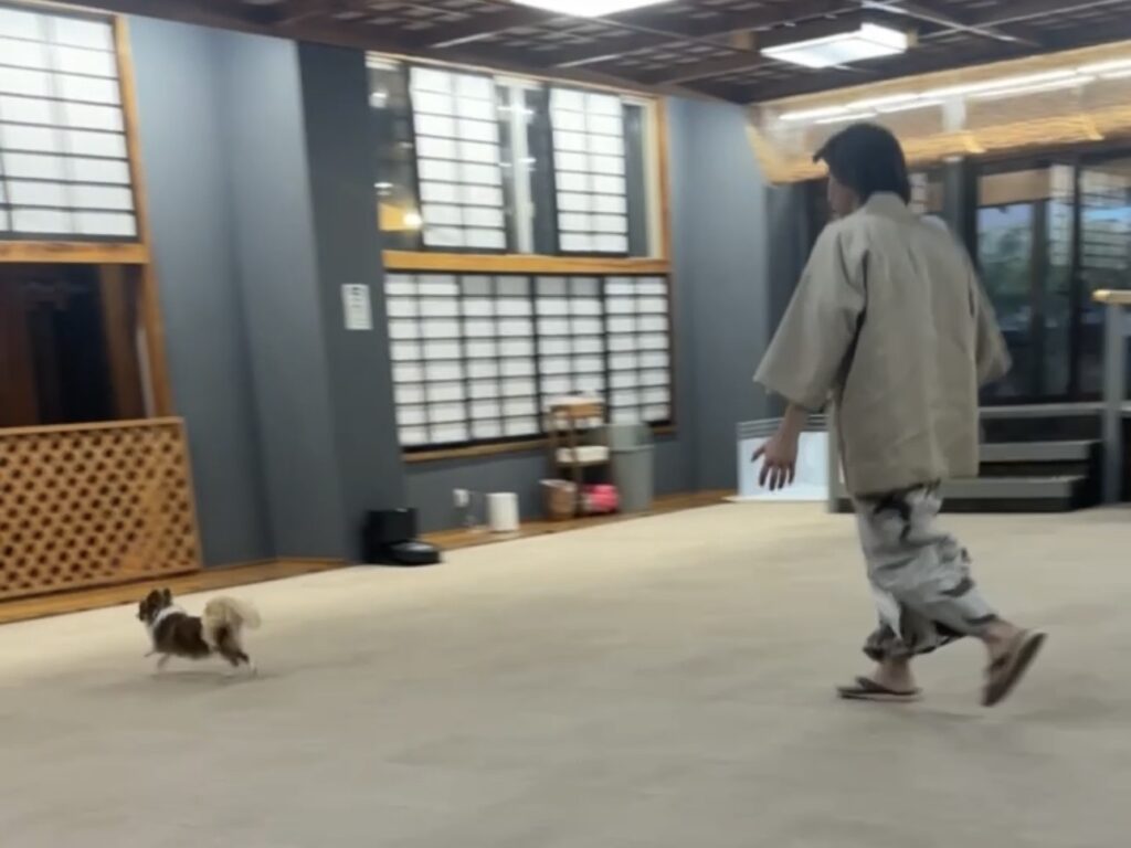 屋内ドッグラン